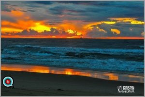 10628136_10204539528741725_1628748767948778652_n