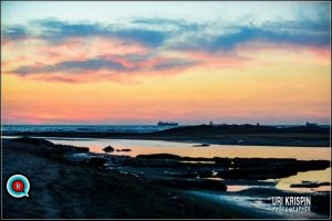img_8664